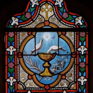 Earthly and Cosmic Nutrition for the Farm and Human Being
